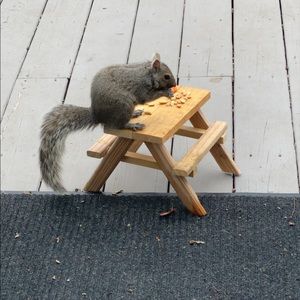 Meet your Posher, Kari